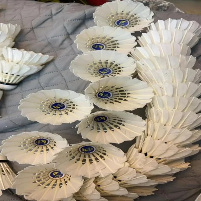 掘金头名战解析:全队表现与未来展望